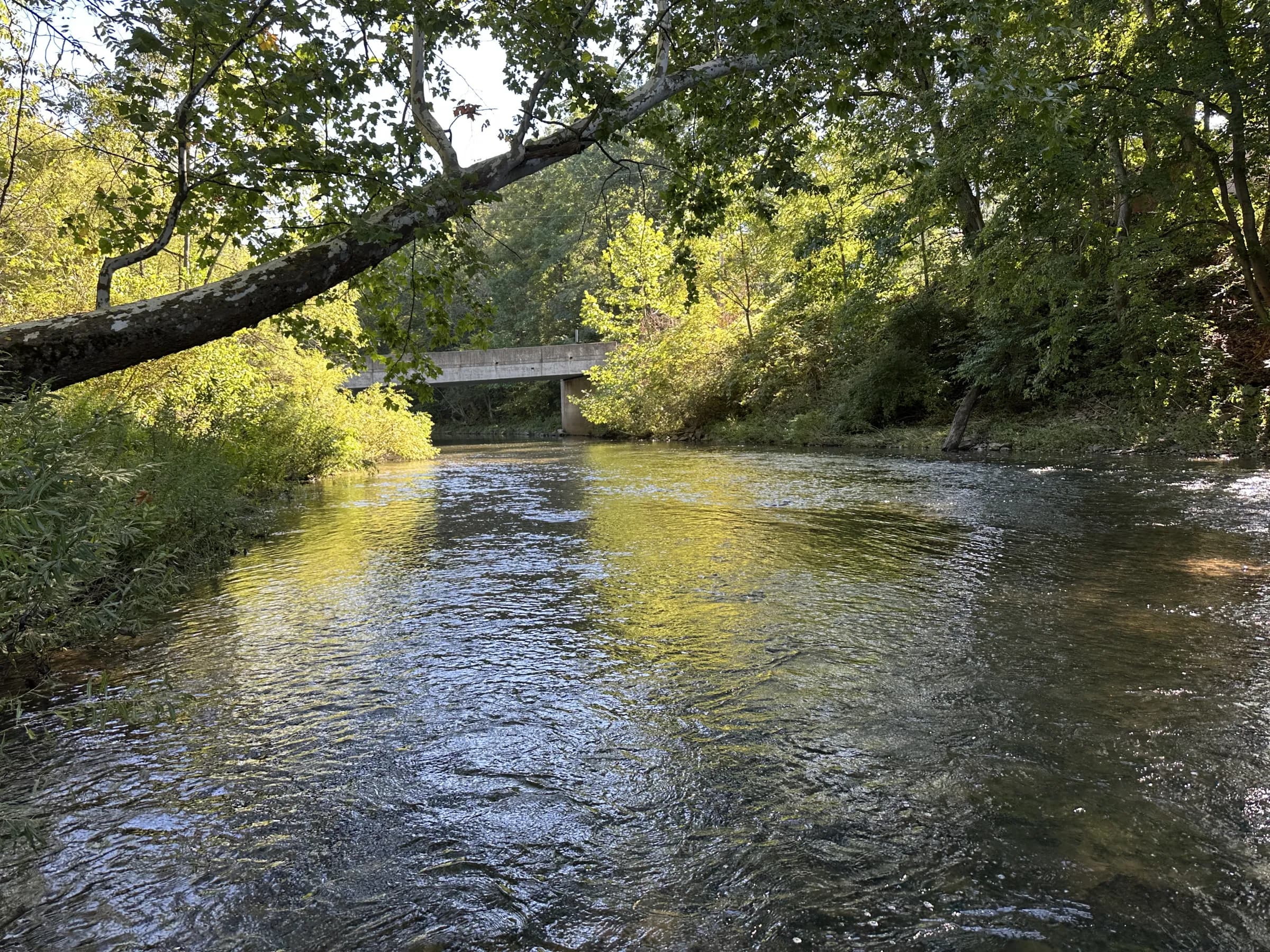 Bald Eagle Creek flowing toward the Julian bridge in Pennsylvania