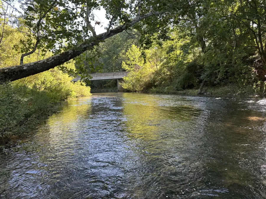 The creek at Julian bridge access