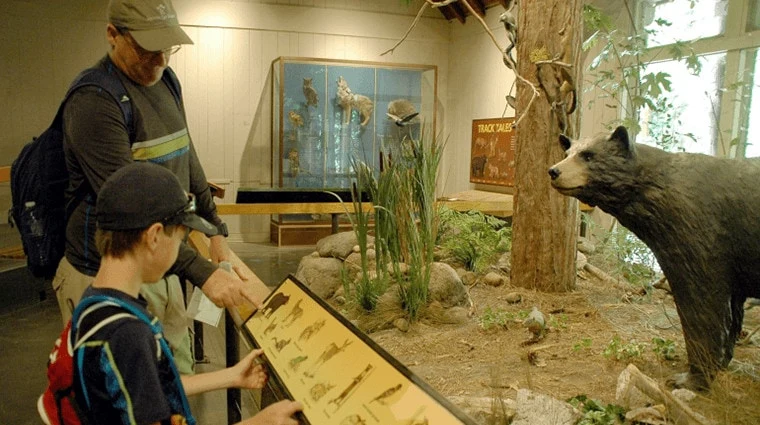 Visitors exploring a nature exhibit inside the Happy Isles Art and Nature Center